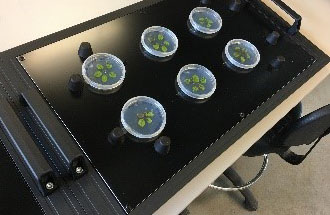 植物成像表型系统1