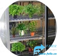 人工气候培养箱,550L,