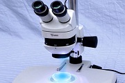 GFP/RFP体式荧光显微镜_荧光解剖显微镜_价格_品牌